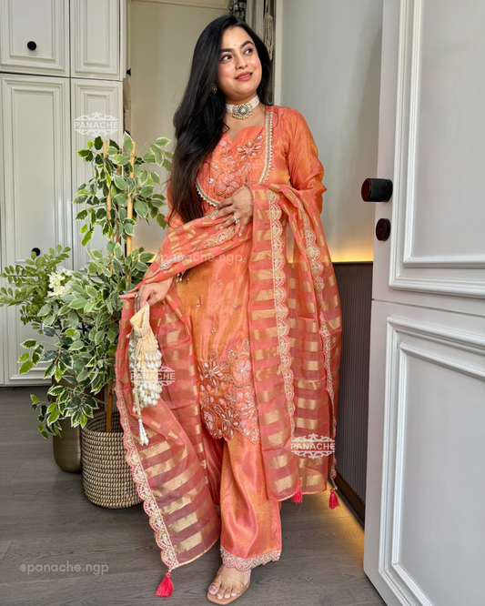 🛍️ Sequein partywear Pret